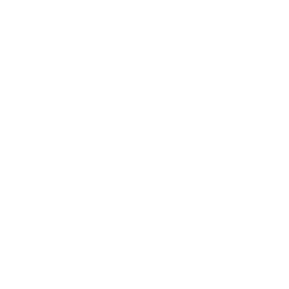 Logo Nicoloni